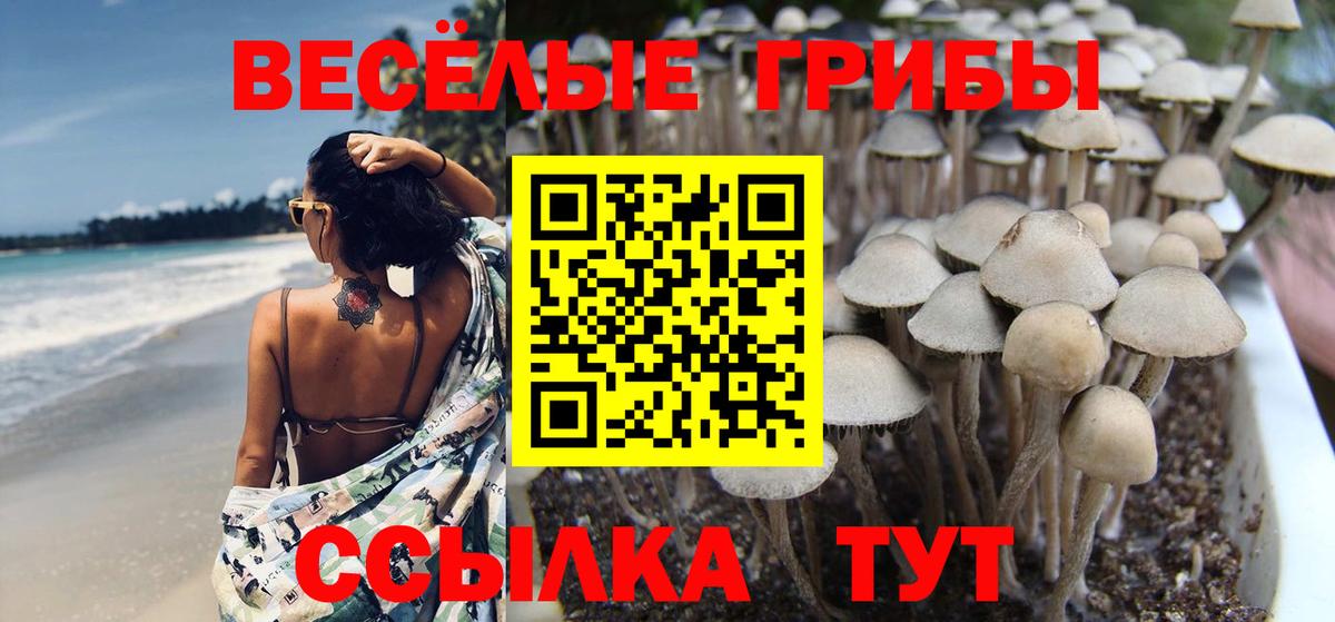 Ленинск-Кузнецкий  Галлюциногенные грибы GOLDEN TEACHER  Вход с VPN  Псилоцибиновые грибы прущие грибы 